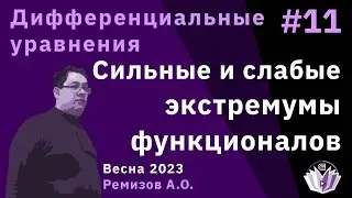 Дифференциальные уравнения 11. Сильные и слабые экстремумы функционалов