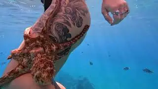 3 girls 1 octopus :o (collab with  