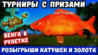 СТРИМ РР4 🎁 РОЗЫГРЫШИ Катушек, Премов и Золота 🎁 ШАНС НА ТРИУМФ и ВЕНГУ УВЕЛИЧЕН Х2 🎁 ТУРНИРЫ 🎁 DUM_