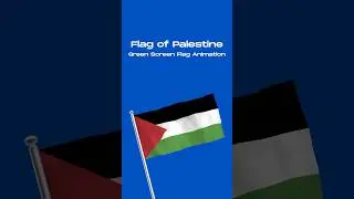The Meaning Behind the Palestine Flag ( Animation ) #palestine #flag #animation