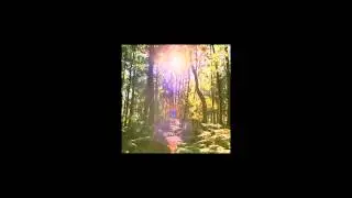 Intermetric - Forest Beyond