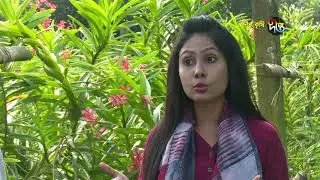 Deepto Krishi/দীপ্ত কৃষি -অর্কিড চাষ (ফলো-আপ)/ময়মনসিংহ, পর্ব ৩৫৩
