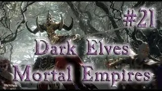 Total War: Warhammer 2 (SFO2) Mortal Empires Dark Elves #21 LOSING CONTROL?