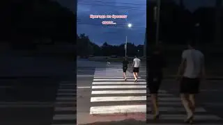 ПОМОГЛИ СОБАКЕ ПЕРЕЙТИ ДОРОГУ / ТРОГАТЕЛЬНОЕ ВИДЕО / СПАС СОБАКУ НА ДОРОГЕ