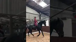 clean canter transition ~ bitless