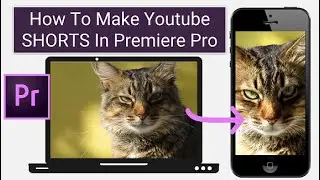 How To Make Youtube SHORTS In Premiere Pro