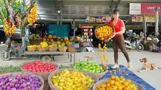 Climbing Tree to Pick Wild Sour Fruit Goes To Market Sell For Villager | New Free Bushcraft