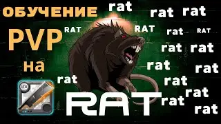 Обучение PvP/Крысы везде ?