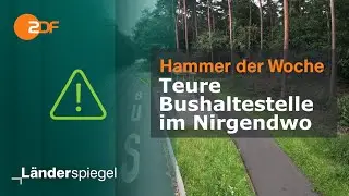 Teure Bushaltestelle im Nirgendwo | Hammer der Woche vom 10.8.24 | ZDF