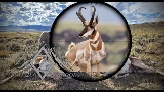 Best Pronghorn Hunt EVER! | Wyoming 2023 | 4K