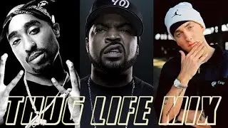 THE BEST - SNOOP DOGG, 2 PAC, EMINEM, ICE CUBE, B I G DMX, LIL JON AND MORE - 90~2000s HIP HOP MIX