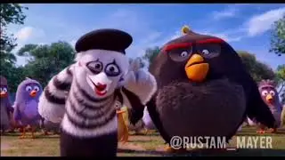 ЭНГРИ БЁРДС ОЗВУЧКА | ОЗВУЧКА ОТ ДЖАВИДА