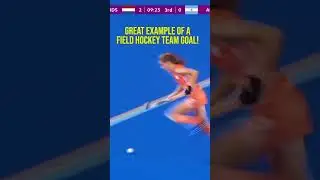 GREAT Example of a Teamwork Goal!