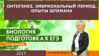 Онтогенез.Эмбриональный период. Что нужно знать для ЕГЭ