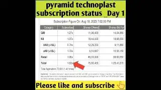 pyramid technoplast subscription status|pyramid technoplast ipo