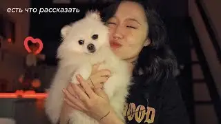 podcast.12: 3 ГОДА С СОБАКОЙ от начала и до конца