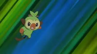 Goh's grooky learns wooden hammer