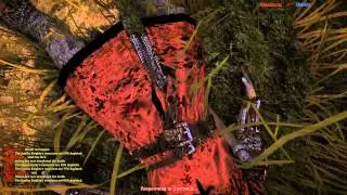 Getting Owned (Chivalry)