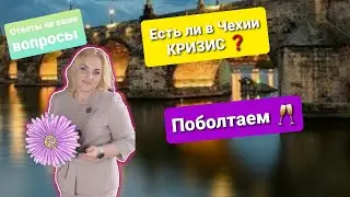 Ответы на ваши ВОПРОСЫ. Кризис в ЧЕХИИ? Отношение к УКРАИНЦАМ. 