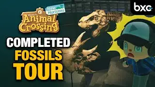 All Fossils Museum Tour in Animal Crossing New Horizons