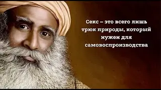 Это должен услышать каждый. Цитаты и афоризмы на каждый день
