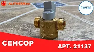 🔸 СЕНСОР ПРОТОКА ВОДЫ КОТЛА ТЕРМОНА. Артикул: 21137