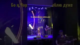 Чорноморчик у Мукачеві