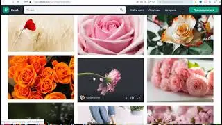 Бесплатные Фото и Видео для Ютуба, Тик Ток, Инстаграм на Pexels
