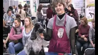 Конкурс грумеров 2012 / Groom Contest 2012