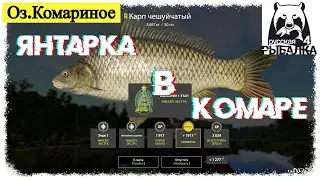 Russian Fishing 4, 