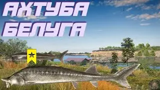 Белуга + 2 трофа Стерлядь | р. Ахтуба | Русская Рыбалка 4