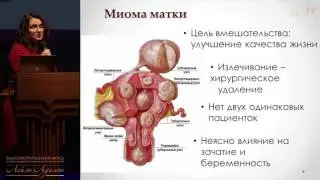 26 ноября 2016 г. Лекция 