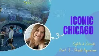 Chicago 2024 Series - Part 3 - Shedd Aquarium