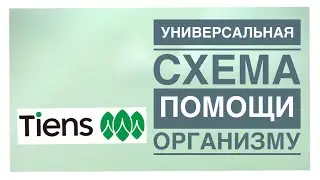 Универсальная схема помощи организму. Врач высшей категории