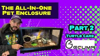 Eguma Enclosure Turtle Care