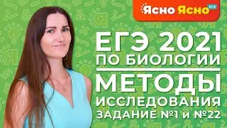 ЕГЭ по биологии 2021 | Методы генетики человека | Методы селекции | Задание №1 и №22 ЕГЭ по биологии