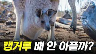 주머니 안에서 발로 차도 괜찮나?