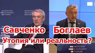 Боглаев - Савченко: призрак солидаризма бродит по планете