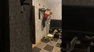 Тренировка на спиняку в домашних условиях!