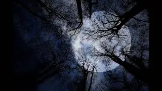 Free to use Happy Hallowwen jungle and moon