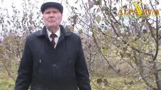 Плодоводство. Лекция 7