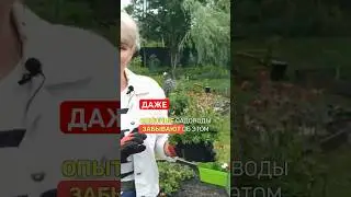 ПРОСТО ПОСАДИТЕ их в самом начале года!