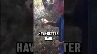 Bryan Callen's Not Doing So Well