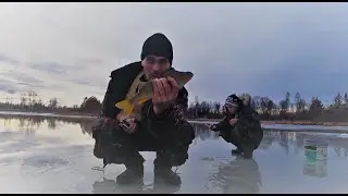РЕЧНЫЕ КАБАНЧИКИ! Проверка крючков на налима. Ловили живца а поймали полосатых кабанов.