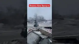 Військові встановили ялинку 