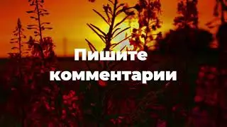 Новая Чеченская песня 2021 Оццул ца веза со😻😻😻