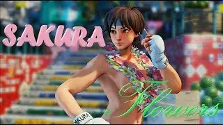 🌠 【MODS】 SFV AE - Sakura Flowers 🌠