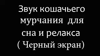 Кошачье мурчание для расслабления, успокоения  и сна.)