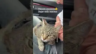 Шпрота тренится 