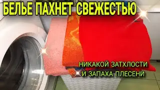 Как убрать запах плесени, сырости и затхлости с одежды, полотенец